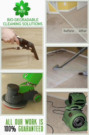 carpet cleaning services