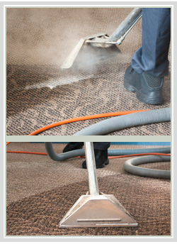 carpet steam cleaning